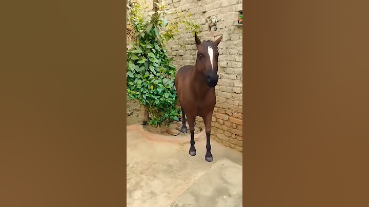 Anaya aur papa ki horse riding #comedy #funny