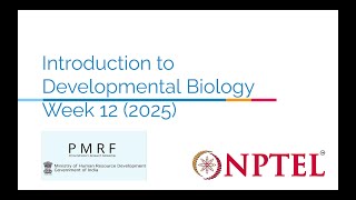 Introduction to Developmental Biology Week 12 (2025)