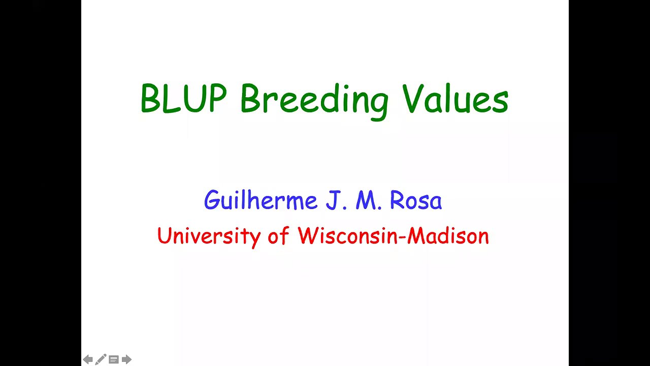 BLUP Breeding Values