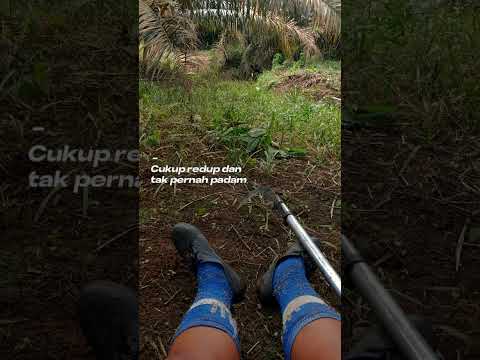 sabar dan berjuang
