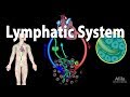 The Lymphatic System Overview, Animation