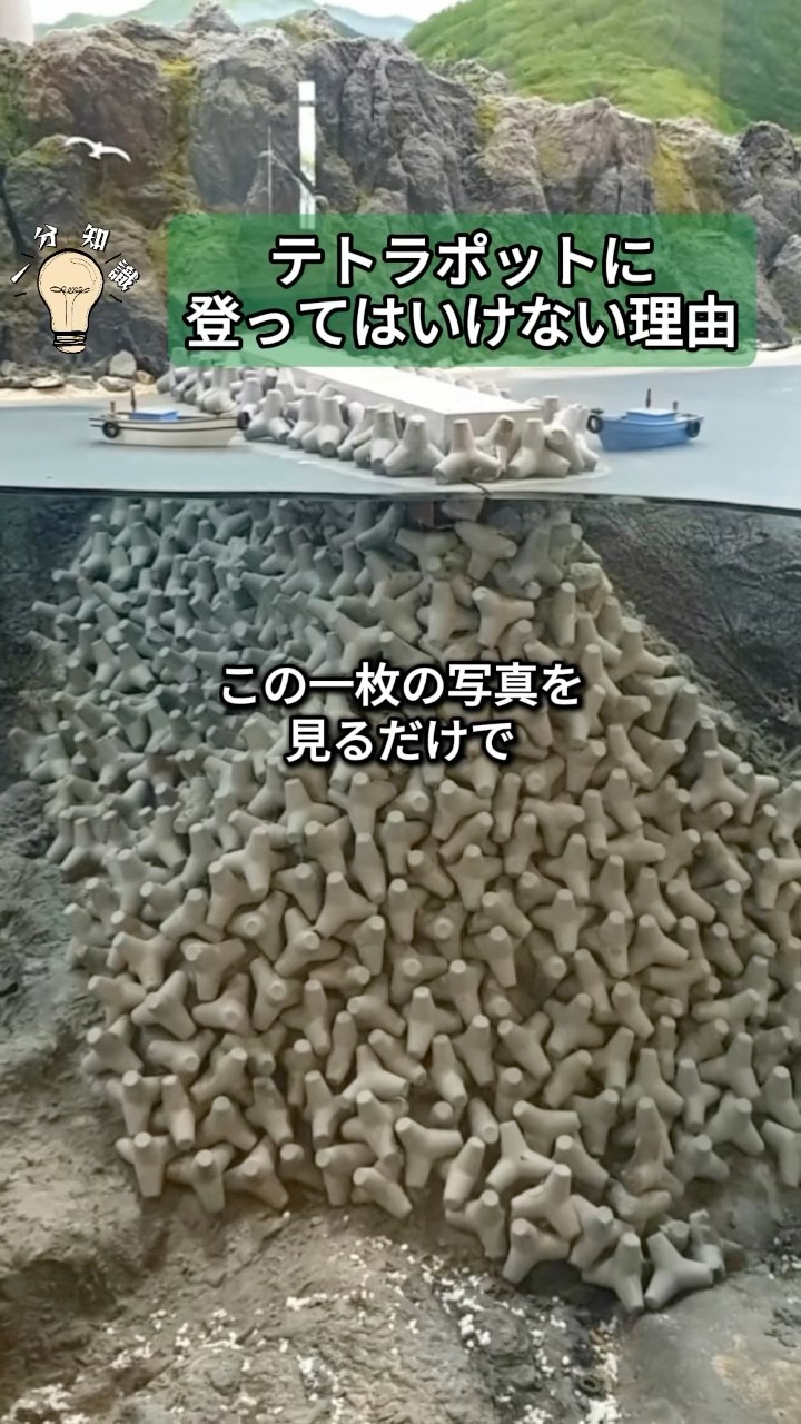 Reasons why you shouldn't climb tetrapods #Climbing tetrapods #Don