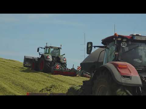 Mörderische Kriminacht in Mödling lässt erzittern