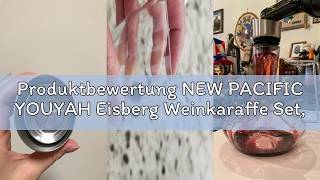 Produktbewertung New Pacific Youyah Eisberg Weinkaraffe Set, Weinbelüfter Karaffe Mit Belüftungsfilt