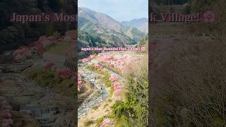 Japan’s Most Beautiful Pink Village! 🌸 #Shorts #JapanTravel #Nagano