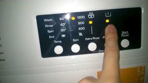 Bush full overview and all programs and option