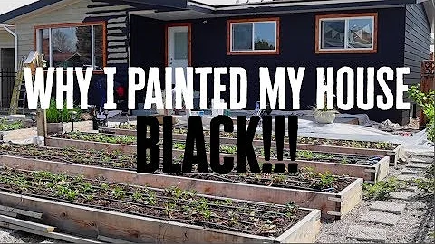 My neighbours thought I was crazy for doing this! ...