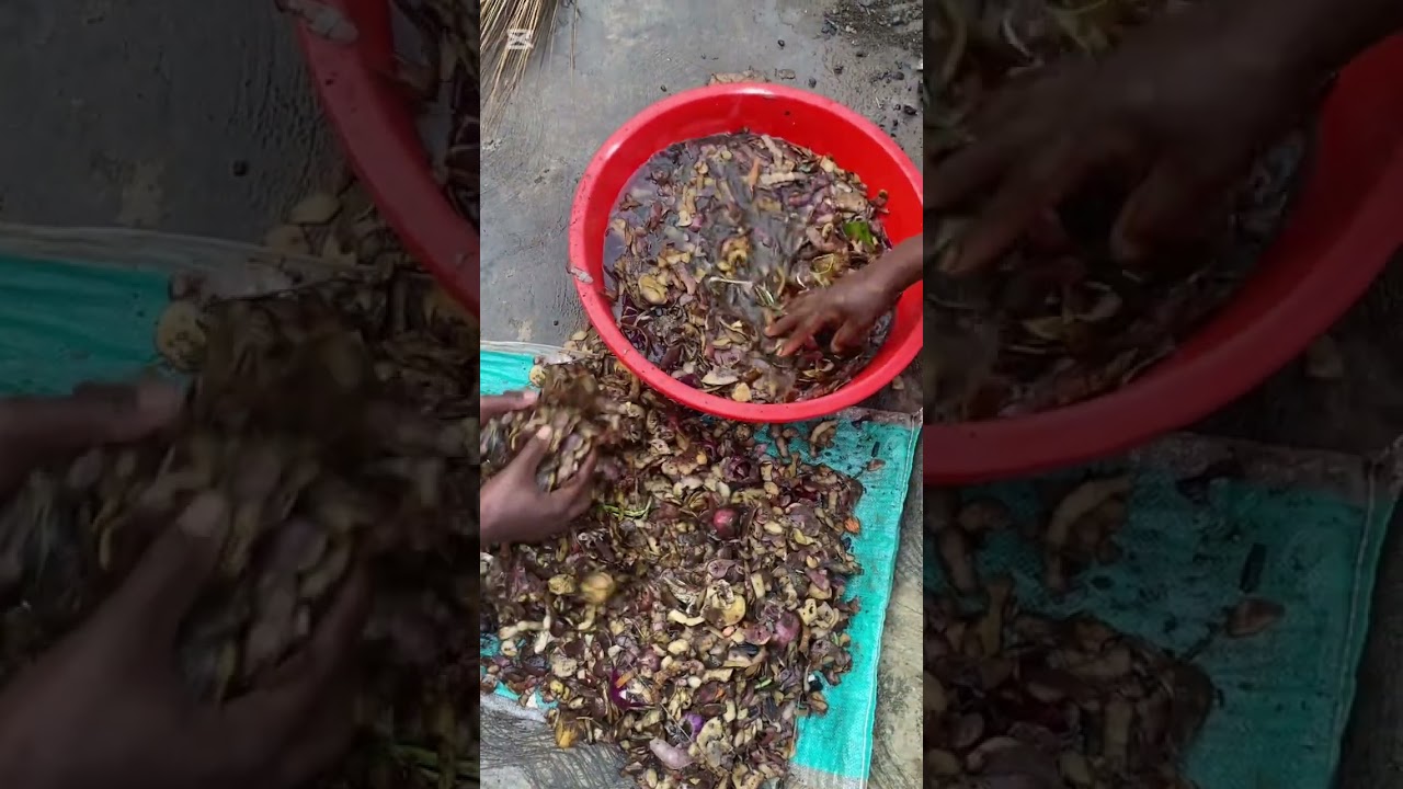 Ibiryo byingurube bidasanzwe biboneka hose Kandi kubuntu !!!! Byibushya ingurube yawe