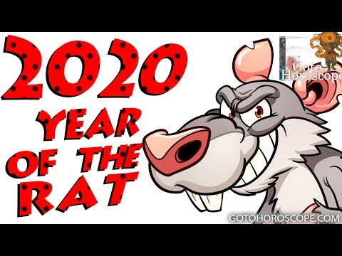 Video: Cosa aspettarsi per i segni zodiacali nel 2020 Rat