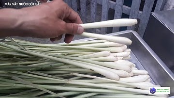 MÁY ÉP SẢ CÔNG NGHIỆP, máy vắt nước cốt sả nguyên chất Điện Cơ Xanh 0984467870