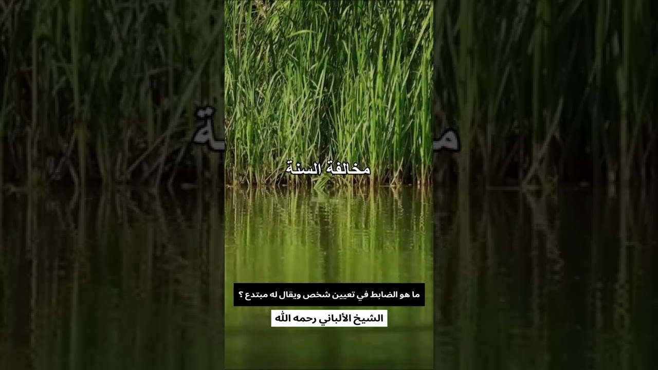 ما هو الضابط في تعيين شخص ويقال له مبتدع ؟ الشيخ الالباني رحمه الله