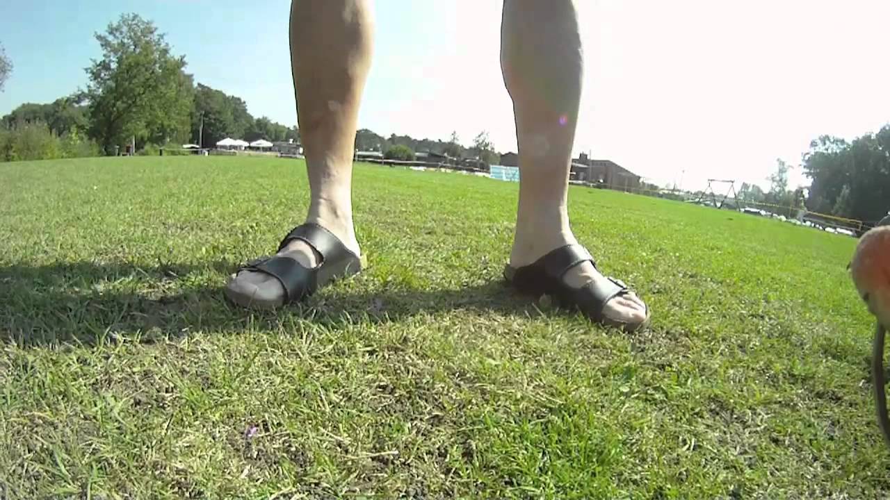 Ternscher See 2011 von oben