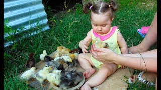Cute Baby Meeting Chicks for the first time