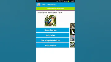 Australian Birds Sounds Android App