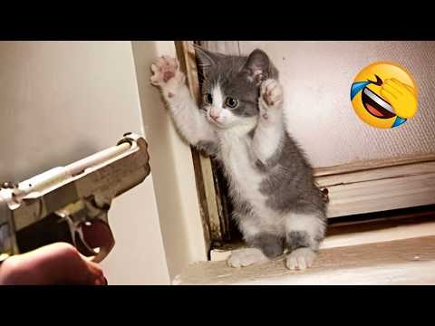 You Laugh You LOSE 😂 New Funny Cats and Dogs 2026 😹
