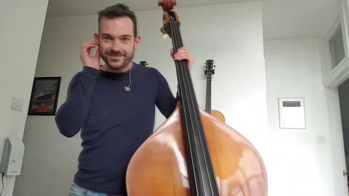 Barenaked Ladies - Some Fantastic (double bass cov...