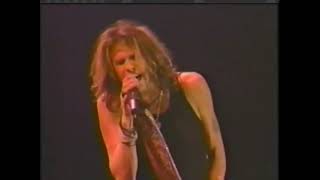 Aerosmith - Hole In My Soul (1997) Live Germany '97