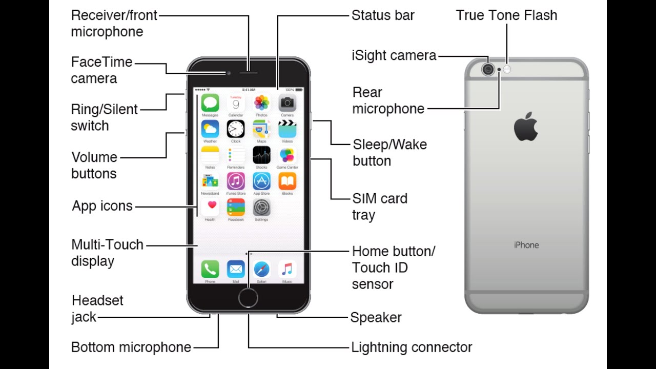 Iphone 7 Diagram : Iphone 7 Schematic Diagram / Iphone 7 Realistic 3d