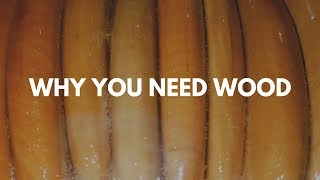 3 Reasons You NEED a wooden comb!