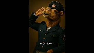Верблюд который воевал #история #shorts