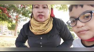 My Beeboss Photo Vlog