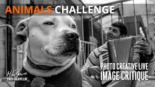 Animals Photo Challenge - Feedback &amp; Critique [Mike Browne]