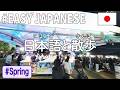 Simple Japanese Listening｜ Spring in Japan【Passive Listening Japanese】