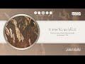 سورة نوح كاملة القارئ زياد محمد حامد سورة نوح كاملة القارئ زياد محمد حامد