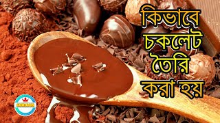 কিভাবে চকলেট তৈরি করা হয় । How chocolate is made। Bangla Documentary  #Curious
