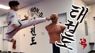 TAEKWONDO SAMPLER | MARTIAL ARTS TRAINING | THE ART OF KICKING