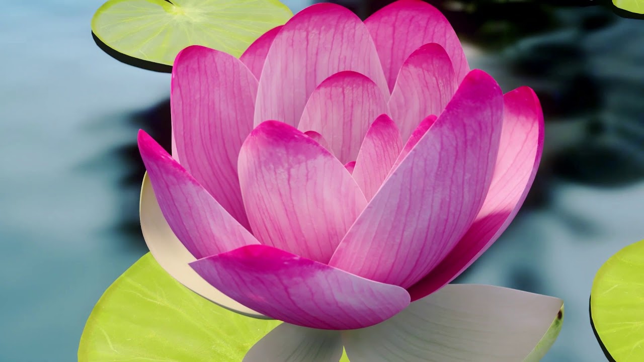 Kamal Cement Logo Reveal - YouTube