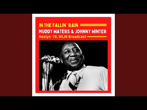 Mannish Boy (I'm a Man) (Live)