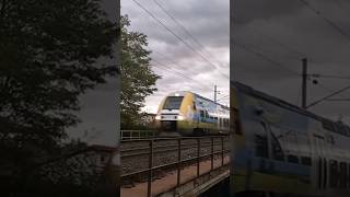 Passage exceptionnel d'un AGC Champagne-Ardenne à Dettwiller #train #klaxon #ter