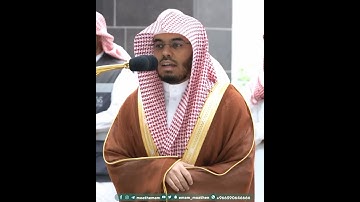 فناداها من تحتها ألا تحزني~تلاوة نديّة بصوت الشيخ ياسر الدوسري