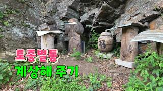 토종벌통 계상해주기