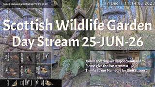 Day Stream June 25th 2026 | Bird Feeders, Wildlife Cameras Scotland UK from SWG
