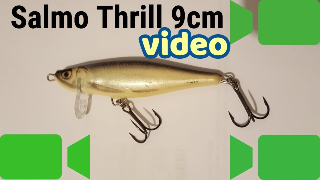 Leurre Salmo Thrill Twitchbait, Couleur Real Bleak, Coulant, Pour Brochet Et Perche