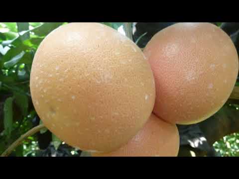 淡水河邊