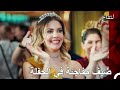 حفلة عيد ميلاد يلدز التفاح الحرام