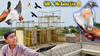 Pakra "3_Mohar" Wala Kabutar Bhag Gea🤤 500 Ka Bacha Bachon Se Liya😃