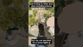 POV: My cat thinks she’s Player 2 🎮🐾 #vrgaming #puzzlingplaces #cats #indiegaming #CozyGaming @RealitiesIoVR