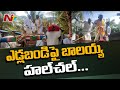 Hero Nandamuri Balakrishna rides bullock cart in Anantapur