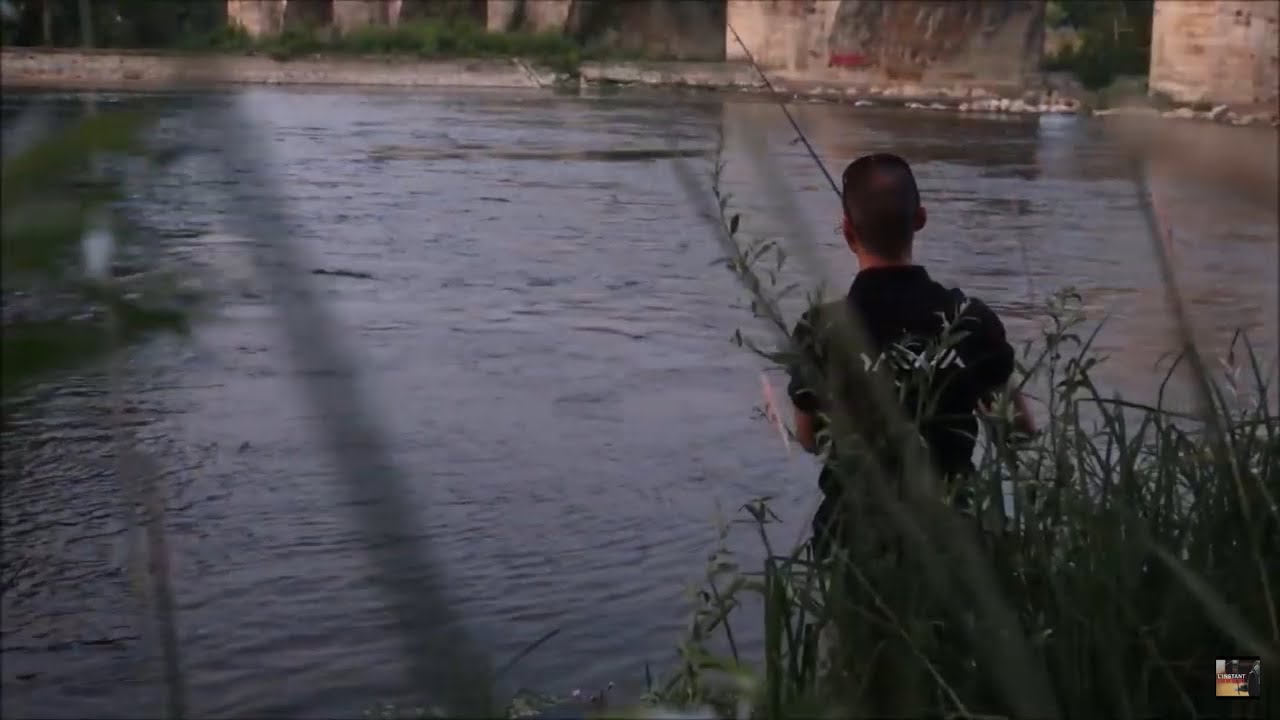 LEÇON de pêche de l’ASPE en LOIRE avec TONY DOURY @Ayo3745 #fishing #aspe #loire #lurefishing #fish