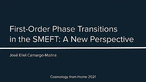 J. E. Camargo-Molina | A New Perspective on the First-Order Phase Transitions in the SMEFT