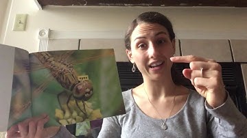 Dragonflies Non-Fiction