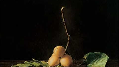 Antonio Vivaldi: Sinfonia for strings & b.c. in C major (RV 192/192a)