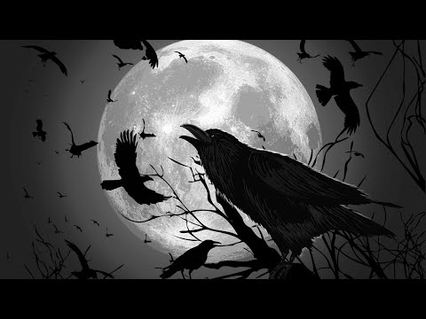 Ворон - Научусь