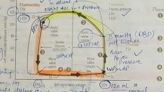 CARDIAC CYCLE part 2 Explained Simply | Pressure & Volume Changes Made Easy