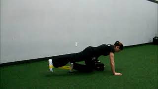 103 Core Training - Mini-Band Bird Dog with Pull Through