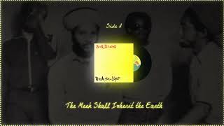 Bad Brains - Rock for Light (vinyl) - 09 - The Meek Shall Inherit The Earth